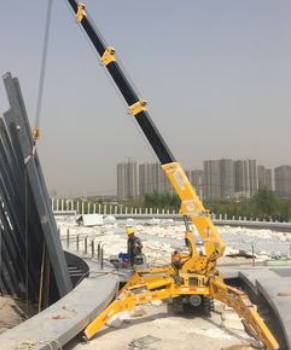 蜘蛛吊為什么那么小巧？
